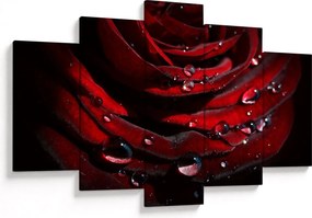 Tablou - Trandafir (150x105 cm)