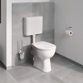 Perie WC Grohe BauCosmopolitan crom lucios