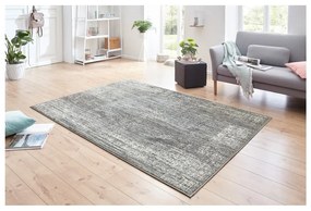 Covor Hanse Home Celebration Elysium, 160x230 cm, gri