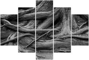 Tablou - Rădăcinile copacului (150x105 cm)