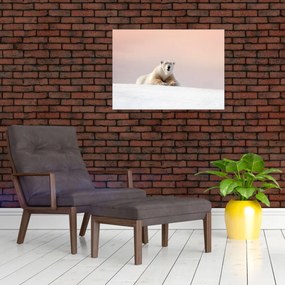 Tablou - Urs polar (70x50 cm)