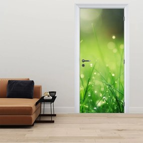 Fototapet pentru ușă - Rouă pe iarbă (95x205cm)