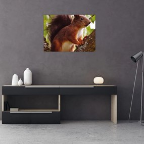 Tablou pe sticlă cu veverița (70x50 cm)