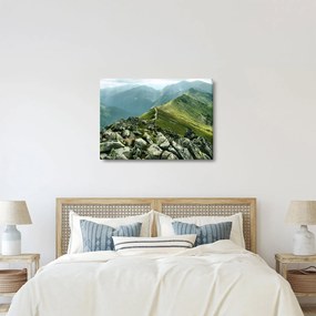 Tablou - Peisaj montan (70x50 cm)
