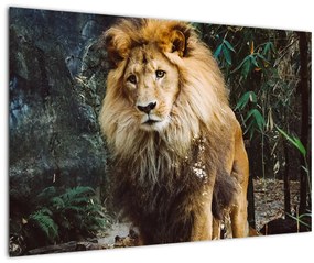 Tablou cu leu în natură (90x60 cm)