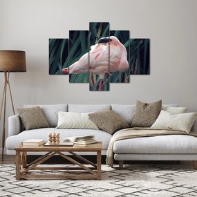 Tablou - Pasărea Flamengo (150x105 cm)