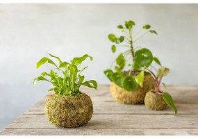 Ghiveci ø 14,5 cm Kokedama – Esschert Design