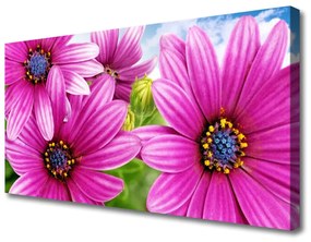 Tablou pe panza canvas Flori Floral Roz Galben Albastru