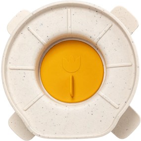 Set de fermentare Plastia - fildeș cu zaț decafea, nuanța miere
