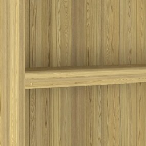 Magazie unelte de gradina, 89x33x222 cm, lemn de pin tratat 89 x 33 x 222 cm