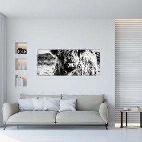 Tablou - Highland - vacă scoțiană (120x50 cm)