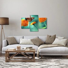 Tablou cu fluture (90x60 cm)