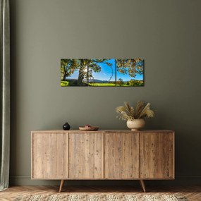 Tablou Privire la câmp (cu ceas) (90x30 cm)