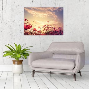Tablou - Lunca cu flori (70x50 cm)