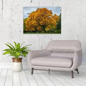 Tablou pe sticlă cu copac (70x50 cm)