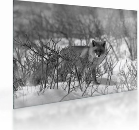 Tablou pe sticlă - Vulpe în timpul iernii (70x50 cm)