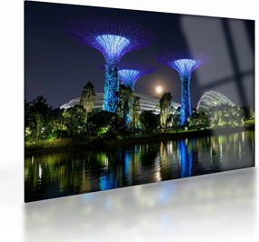 Tablou pe sticlă cu lună plină în grădinile din Singapur (70x50 cm)