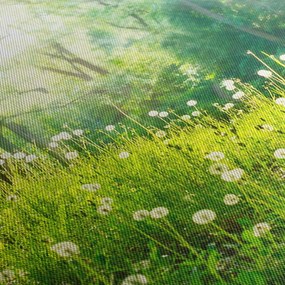 Tablou - Pajiște magică plină de păpădii (150x105 cm)