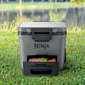 Lada frigorifica Ninja FrostVault FB230EUGY, 28 l, Pasiva, 48 doze, Pastreaza gheata pana la 5 zile, Compartiment uscat, Roti, Gri