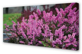 Tablouri canvas Heathers