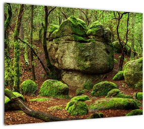 Tablou cu pădurea fermecată (70x50 cm), în 40 de alte dimensiuni noi