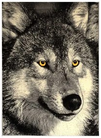 Covor Kolibri Lup 11395 Selectează mărime: 160 X 230