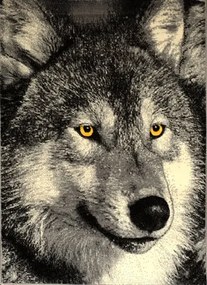 Covor Kolibri Lup 11395 Selectează mărime: 200 X 300