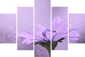 Tablou - Flori mov (150x105 cm)