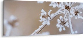 Tablou - Îngheț (120x50 cm)