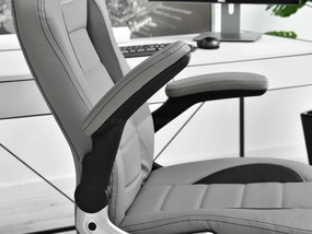 Scaun gaming Race (gri). 1110529
