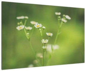 Tablou - Margarete (90x60 cm)