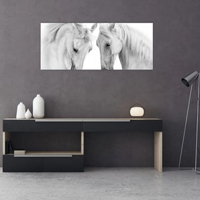 Tabou - Cai albi (120x50 cm)