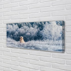Tablouri canvas Iarna câine de munte