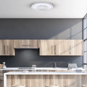 Plafonieră LED dimabilă cu ventilator ZONDA LED/48W/230V argintiu + telecomandă