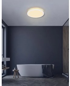 Plafonieră LED pentru baie Globo 41562-24W Light SAPANA LED/24W/230V IP44