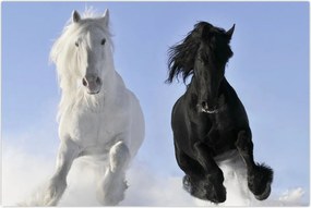 Tablou - Caii în timpul iernii (90x60 cm)