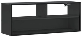 848934 vidaXL Dulap TV, negru, 100x31x39,5 cm, lemn prelucrat și metal