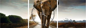 Tablou cu elefant (cu ceas) (90x30 cm)