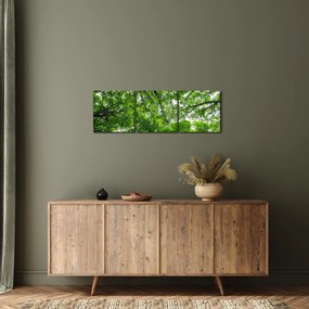 Tablou - privire în coroanele pomilor (cu ceas) (90x30 cm)