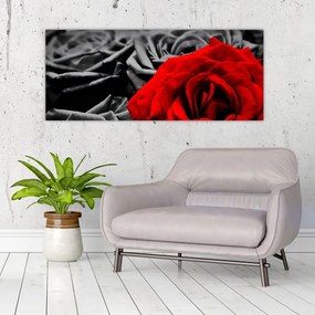 Tablou - Flori de trandafir (120x50 cm)