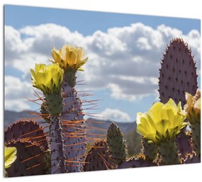 Tablou pe sticlă cu floarea de cactus Opunție (70x50 cm)