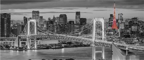 Tablou - Oraș mare cu un turn roșu (120x50 cm)