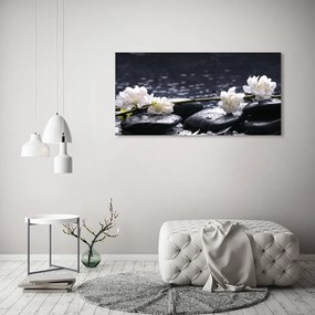 Pictura pe sticlă acrilică Floare de cires