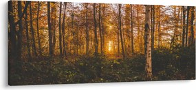 Tablou - Pădurea toamna (120x50 cm)