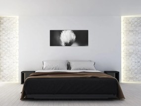 Tablou - Coțofană neagră și albă (120x50 cm)