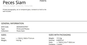 Tablou de perete decorativ Peces Siam, 150x100cm