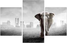 Tablou - Elefanți în oraș, versiunea alb-negru (90x60 cm)