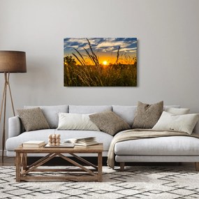Tablou cu câmp în apus de soare (90x60 cm)