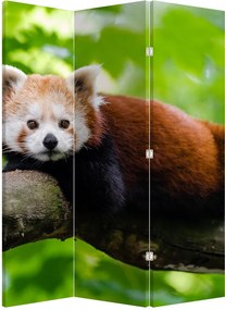 Paravan - Panda roșie (126x170 cm)