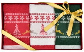 Prosoape frotir cu broderie Christmas 30 x 50 cm ,3 buc, în cutie cadou